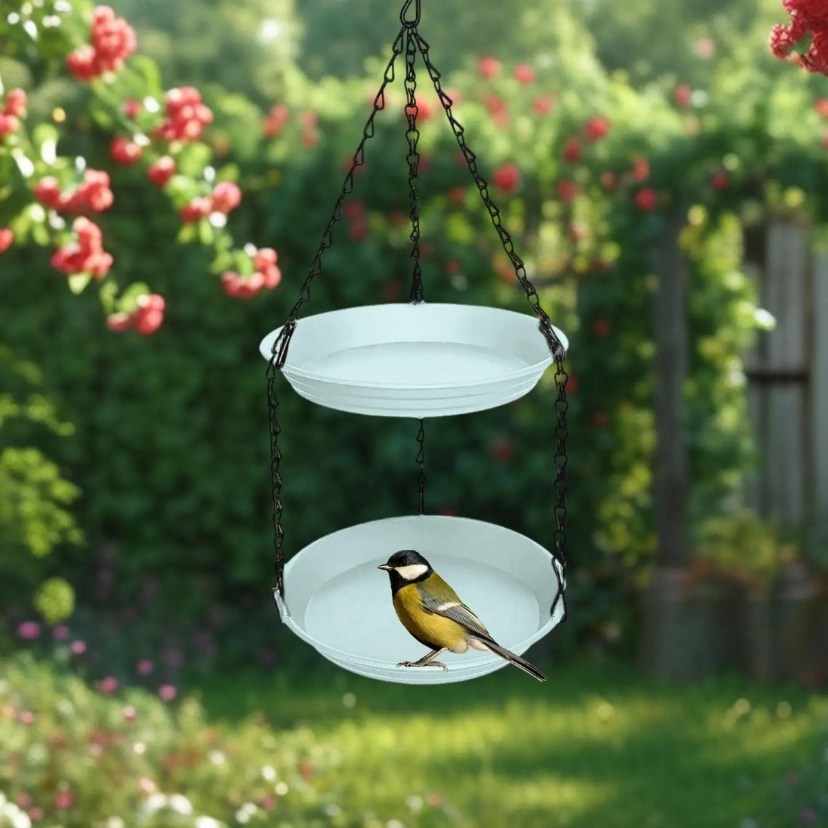 NestHaven Hängender Vogel-Futterspender mit doppelten Platten und langlebiger Kette