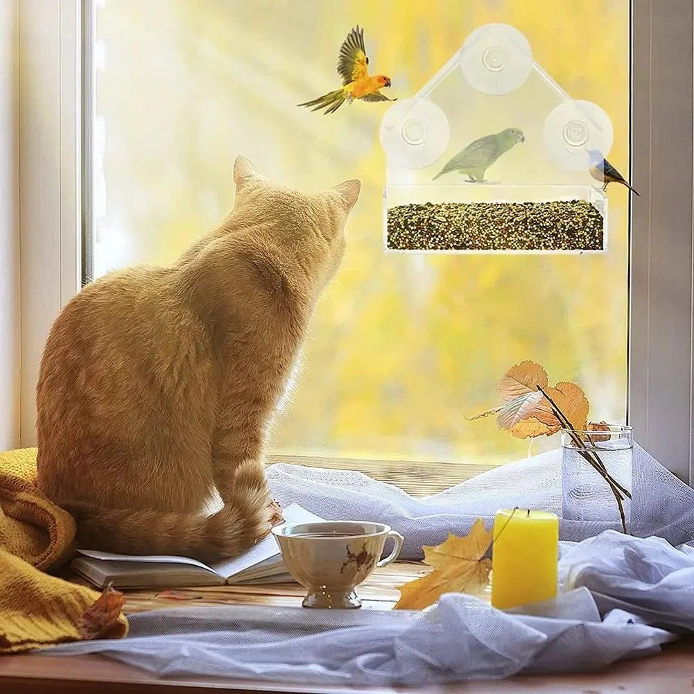 Comedero para Pájaros FeatherView con Ventana Transparente y Ventosas