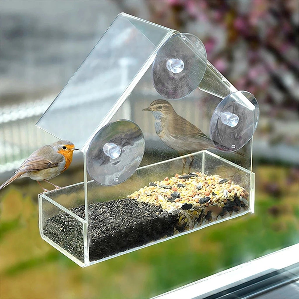 Comedero para Pájaros FeatherView con Ventana Transparente y Ventosas
