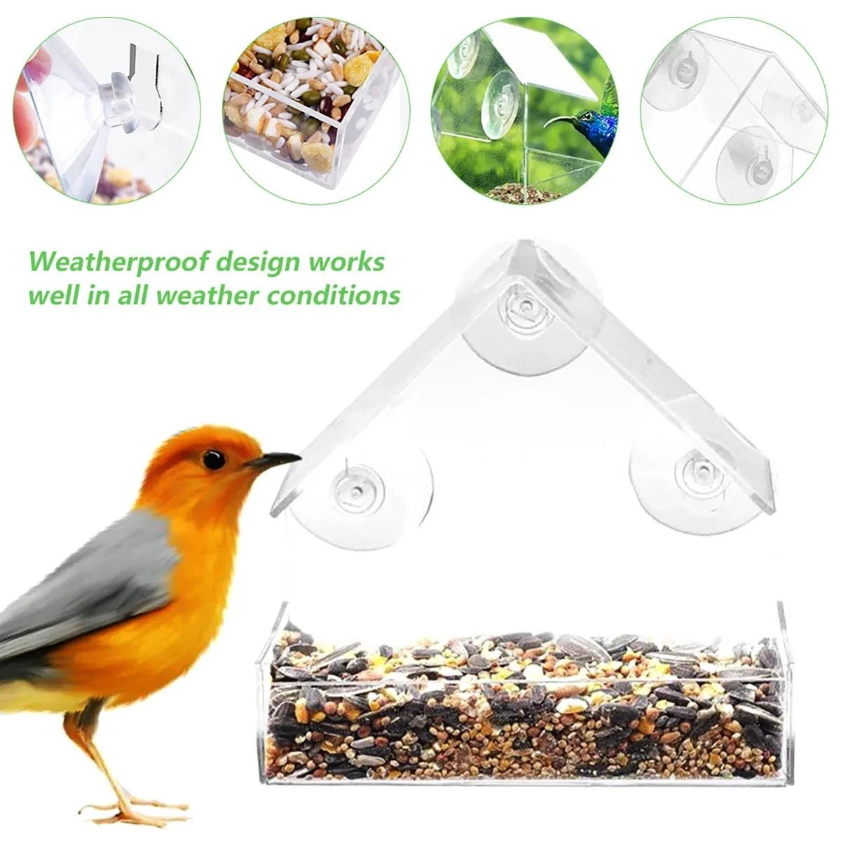 Comedero para Pájaros FeatherView con Ventana Transparente y Ventosas