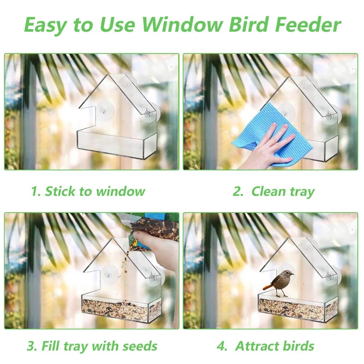 Comedero para Pájaros FeatherView con Ventana Transparente y Ventosas