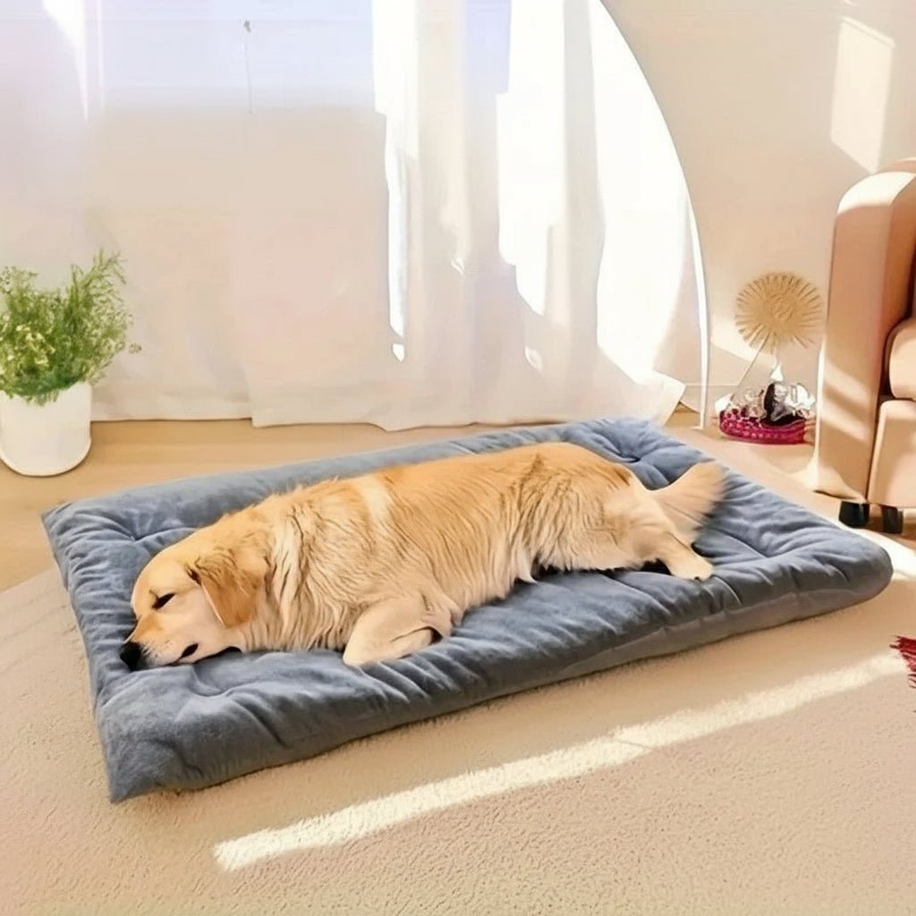 CloudNest Fluffy Dog Bed For Soothing Relaxation And Cozy Sleep