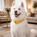 NovaTag Adjustable Silicone Pet Collar for Tracking Tag Compatibility