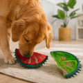 Frozen Puzzle Dog Toys