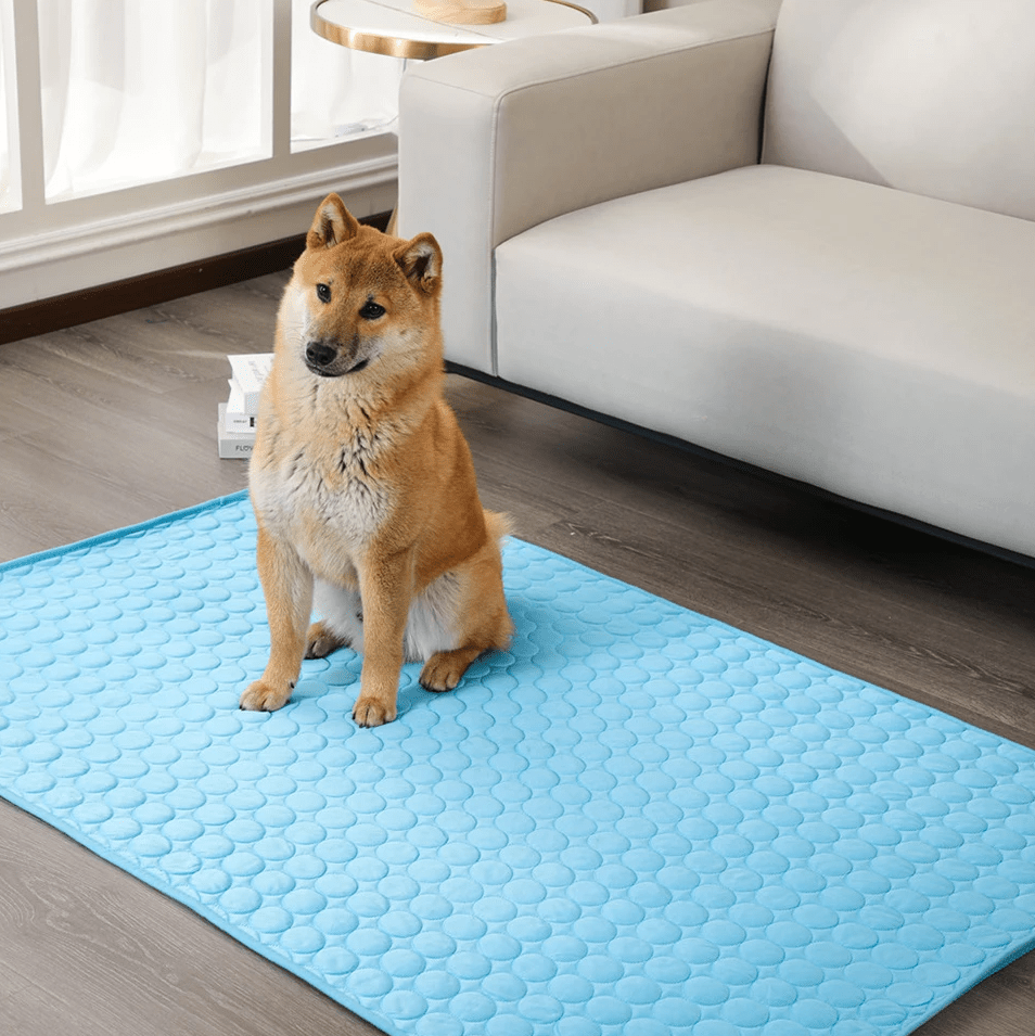 ChillPaw Self-Cooling Dog Mat For Summer Heat Relief