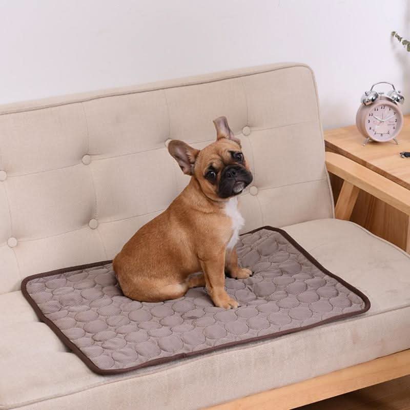 ChillPaw Self-Cooling Dog Mat For Summer Heat Relief