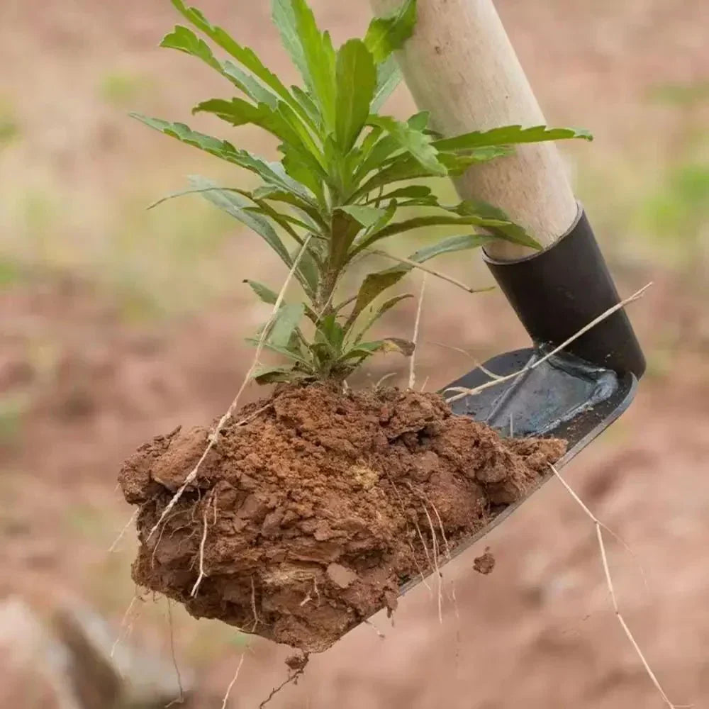 TerraForge Steel Garden Hoe For Weeding And Digging