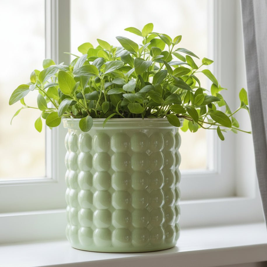 Pot de fleurs auto-arrosant AquaZen pour culture hydroponique écologique