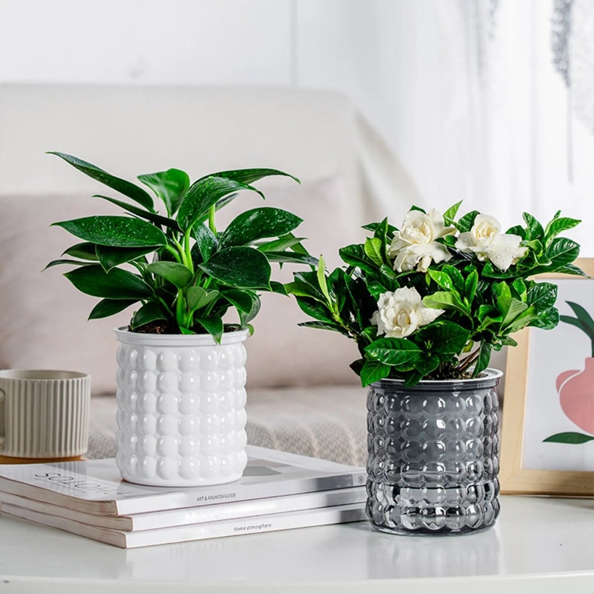 Pot de fleurs auto-arrosant AquaZen pour culture hydroponique écologique