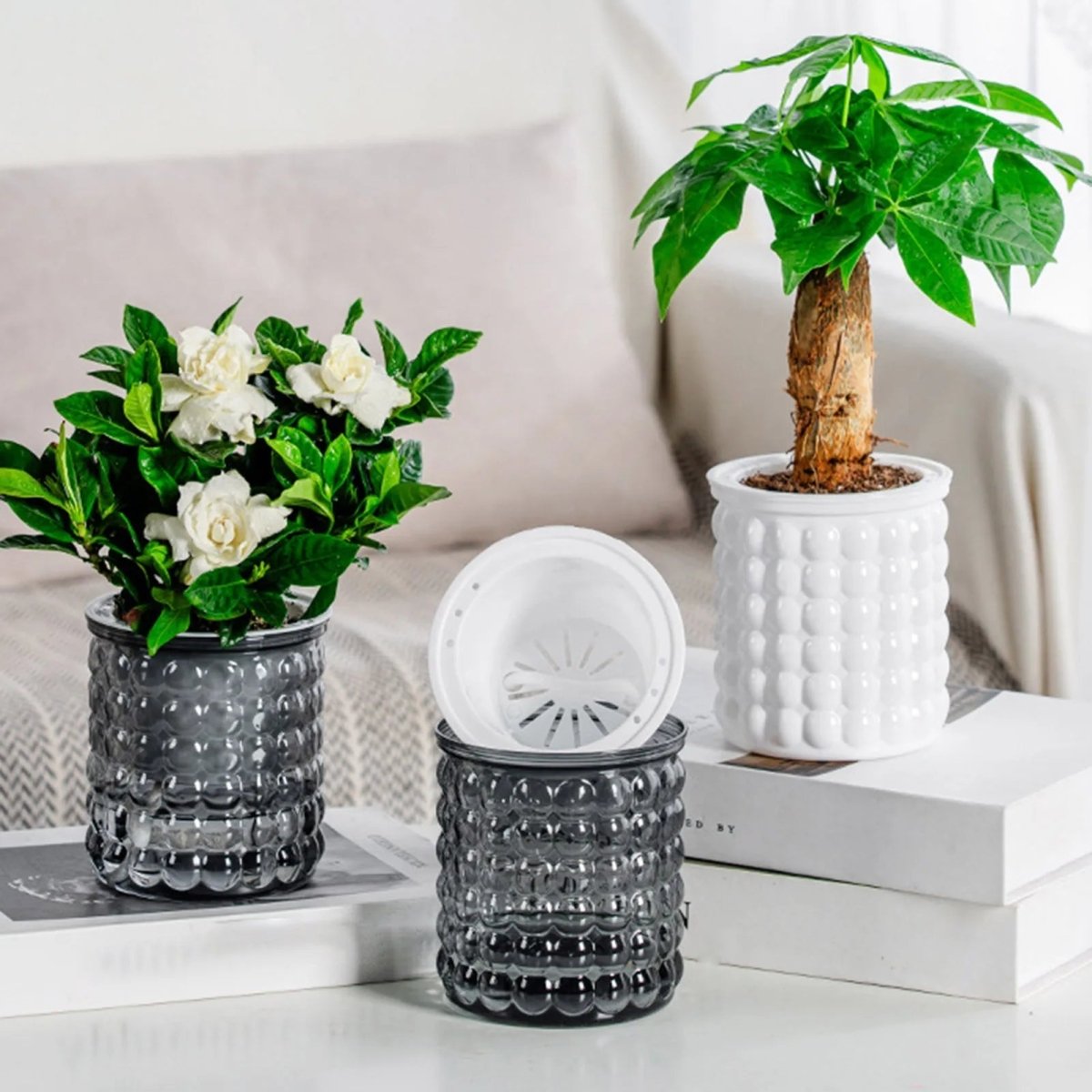 Pot de fleurs auto-arrosant AquaZen pour culture hydroponique écologique