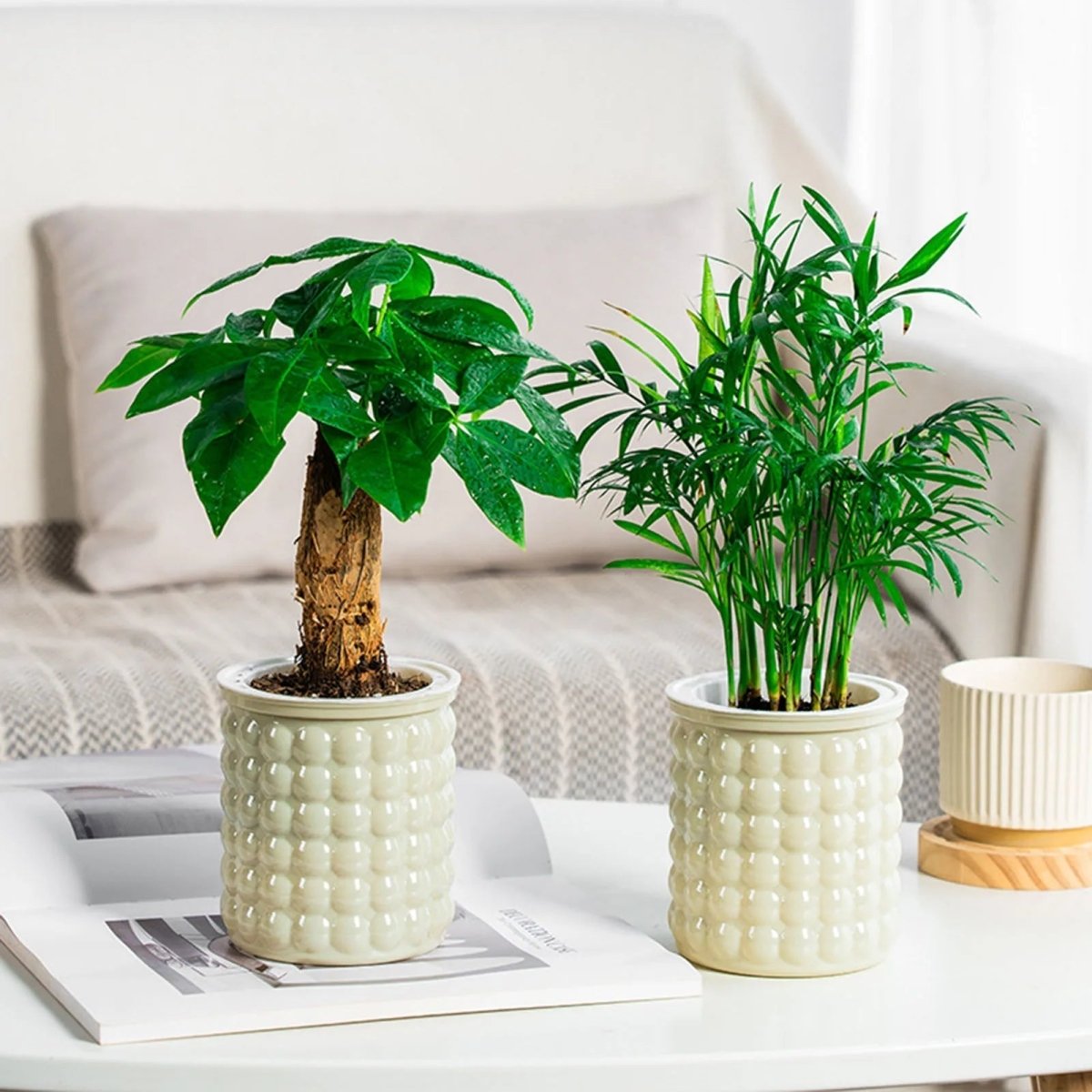 Pot de fleurs auto-arrosant AquaZen pour culture hydroponique écologique