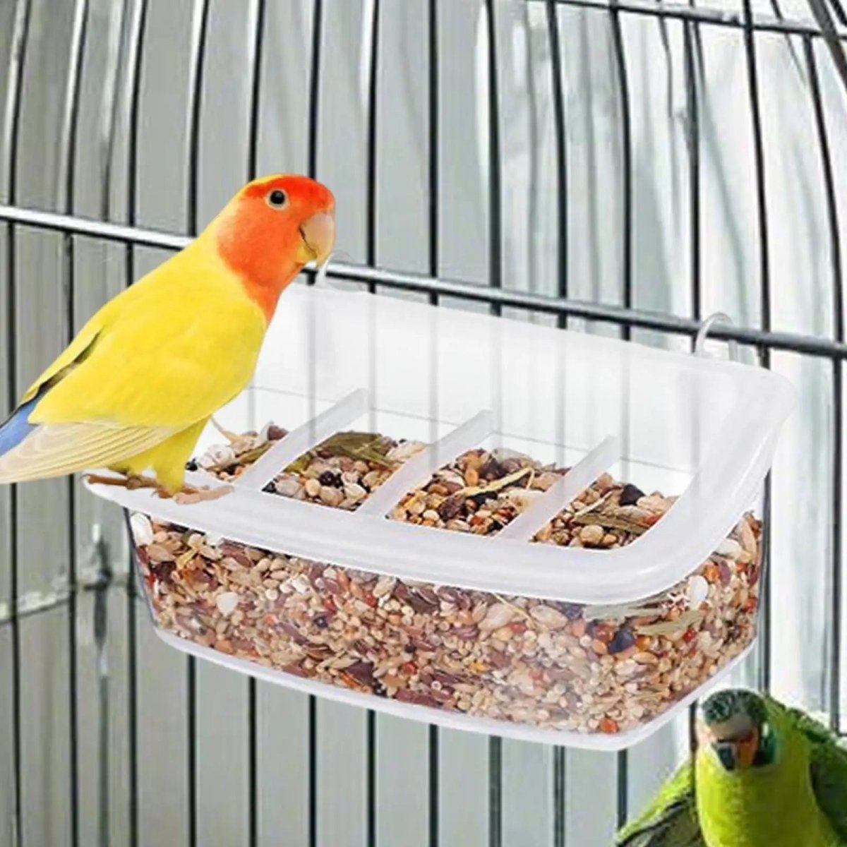 EcoParrot 360 Degree Parrot Feeder With Clear View