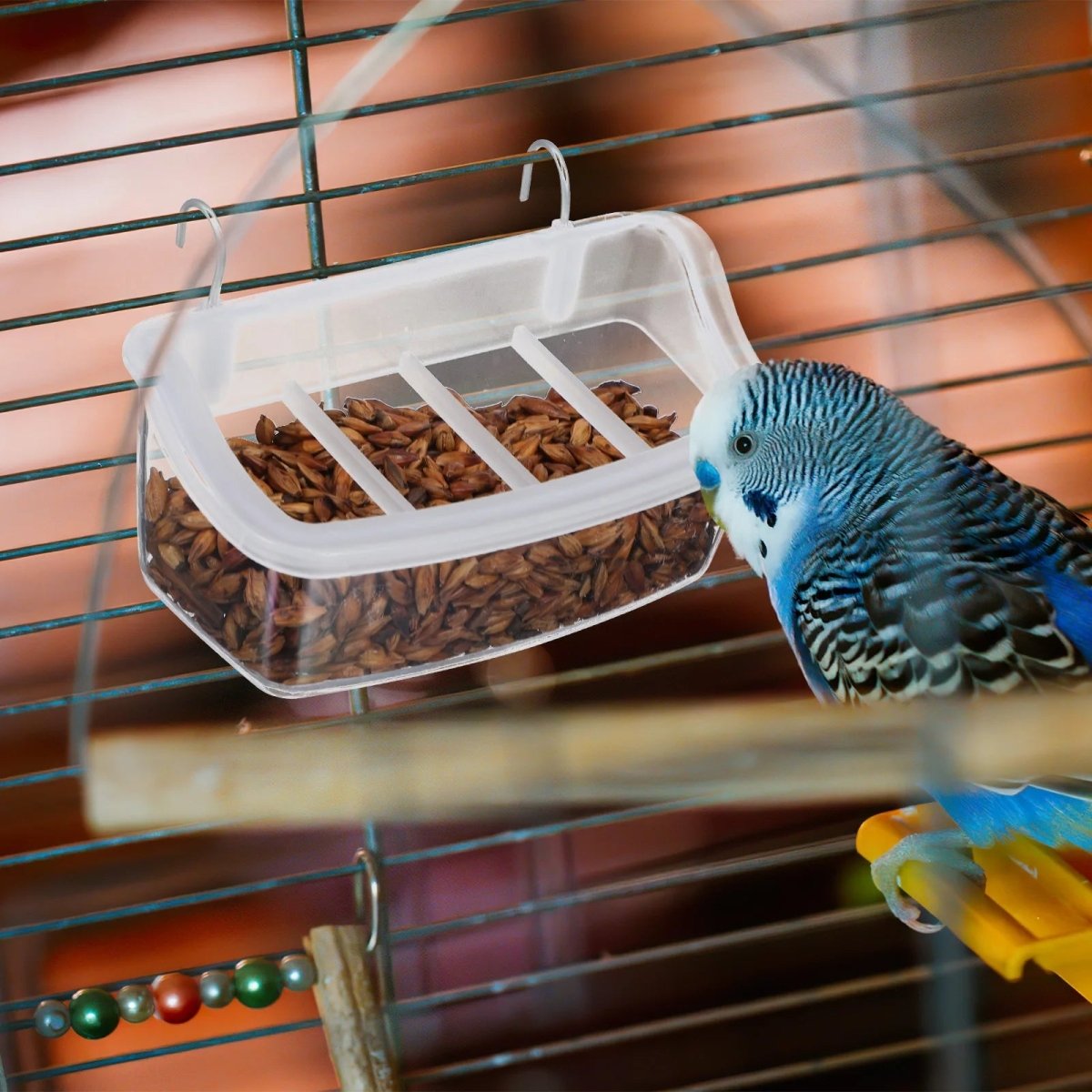EcoParrot 360 Degree Parrot Feeder With Clear View