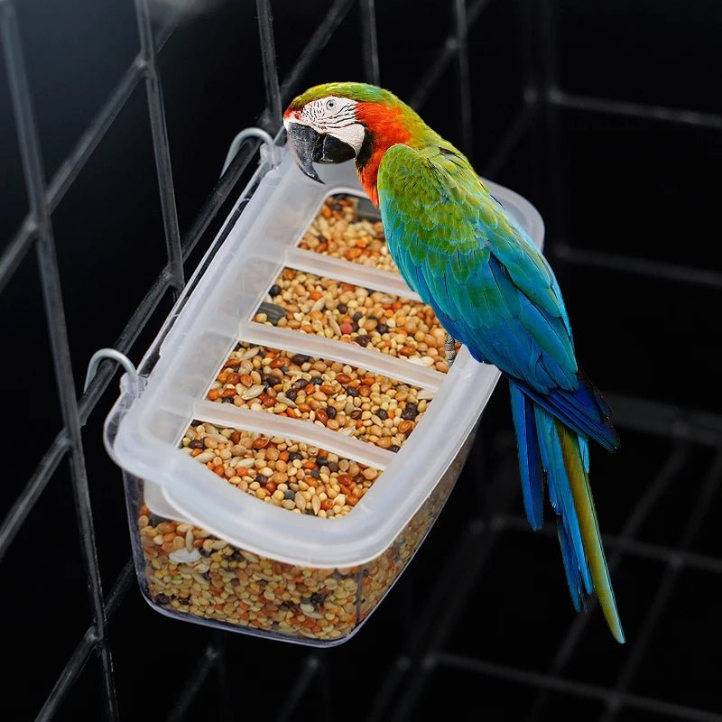 EcoParrot 360 Degree Parrot Feeder With Clear View