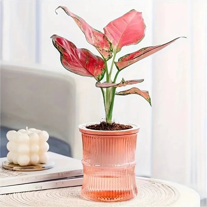 VerdantNest Sustainable Self-Watering Indoor Pot With Double Walled Structure