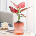 VerdantNest Sustainable Self-Watering Indoor Pot With Double Walled Structure