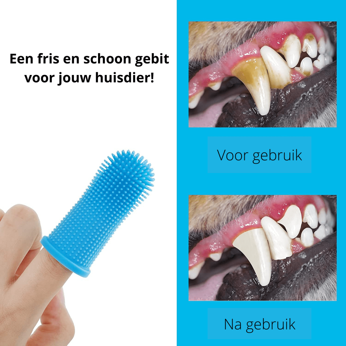 PawGuard 360 Silicone Finger Toothbrush For Safe Dog Dental Care