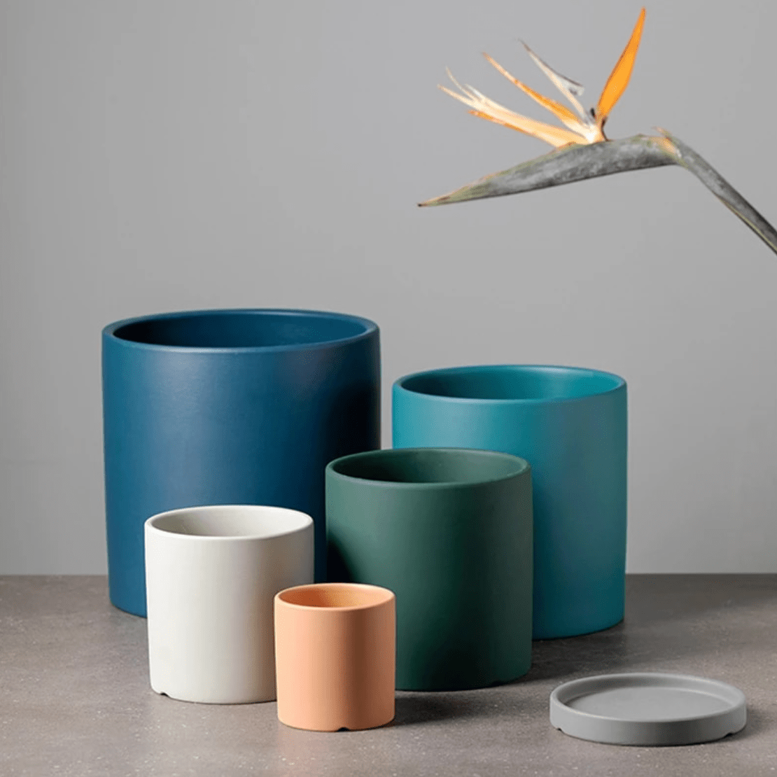 Tyylikäs valkoinen keraaminen kukkaruukku minimalistisella modernilla sisustussuunnittelulla