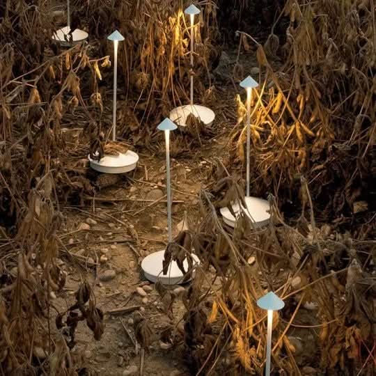AuroraLux Enerji Tasarruflu LED Işık ile Sürdürülebilir Aydınlatma