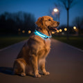 LumenPaws LED Safety Dog Collar With Adjustable Fit