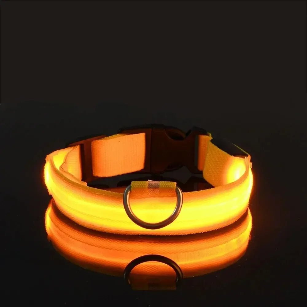 LumenPaws LED Safety Dog Collar With Adjustable Fit