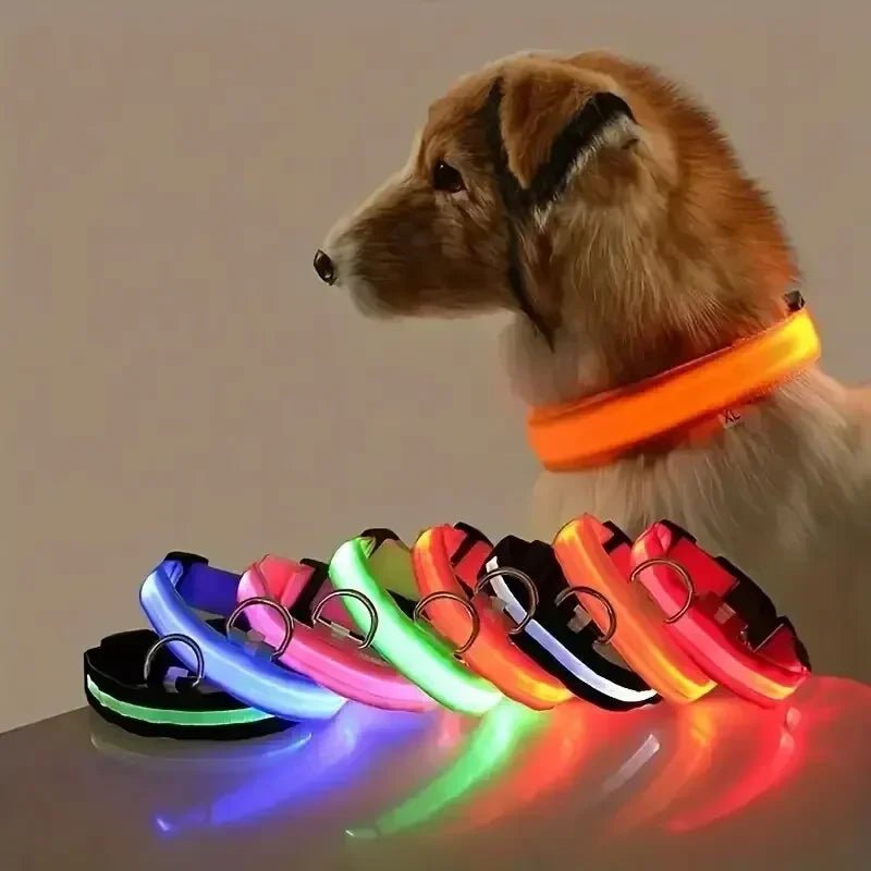LumenPaws LED Safety Dog Collar With Adjustable Fit
