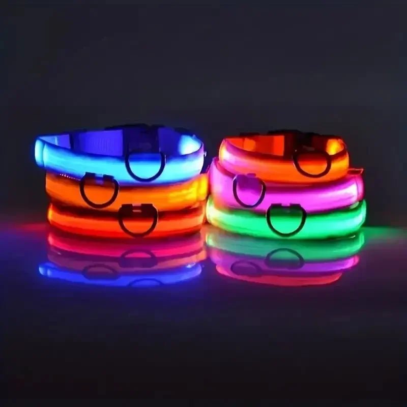 LumenPaws LED Safety Dog Collar With Adjustable Fit