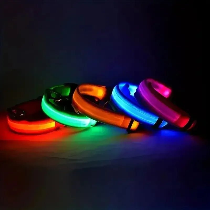 LumenPaws LED Safety Dog Collar With Adjustable Fit