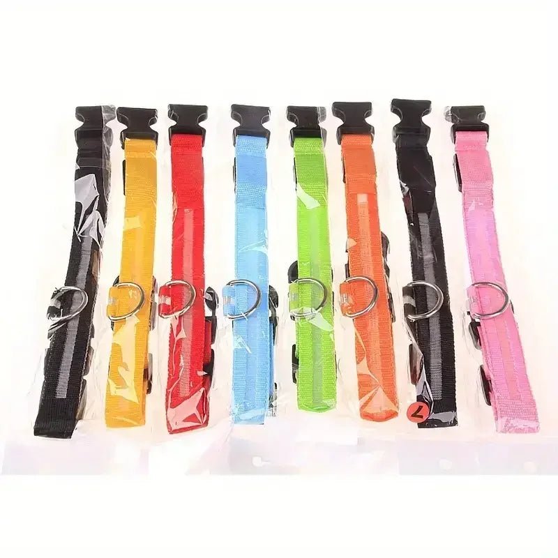 LumenPaws LED Safety Dog Collar With Adjustable Fit