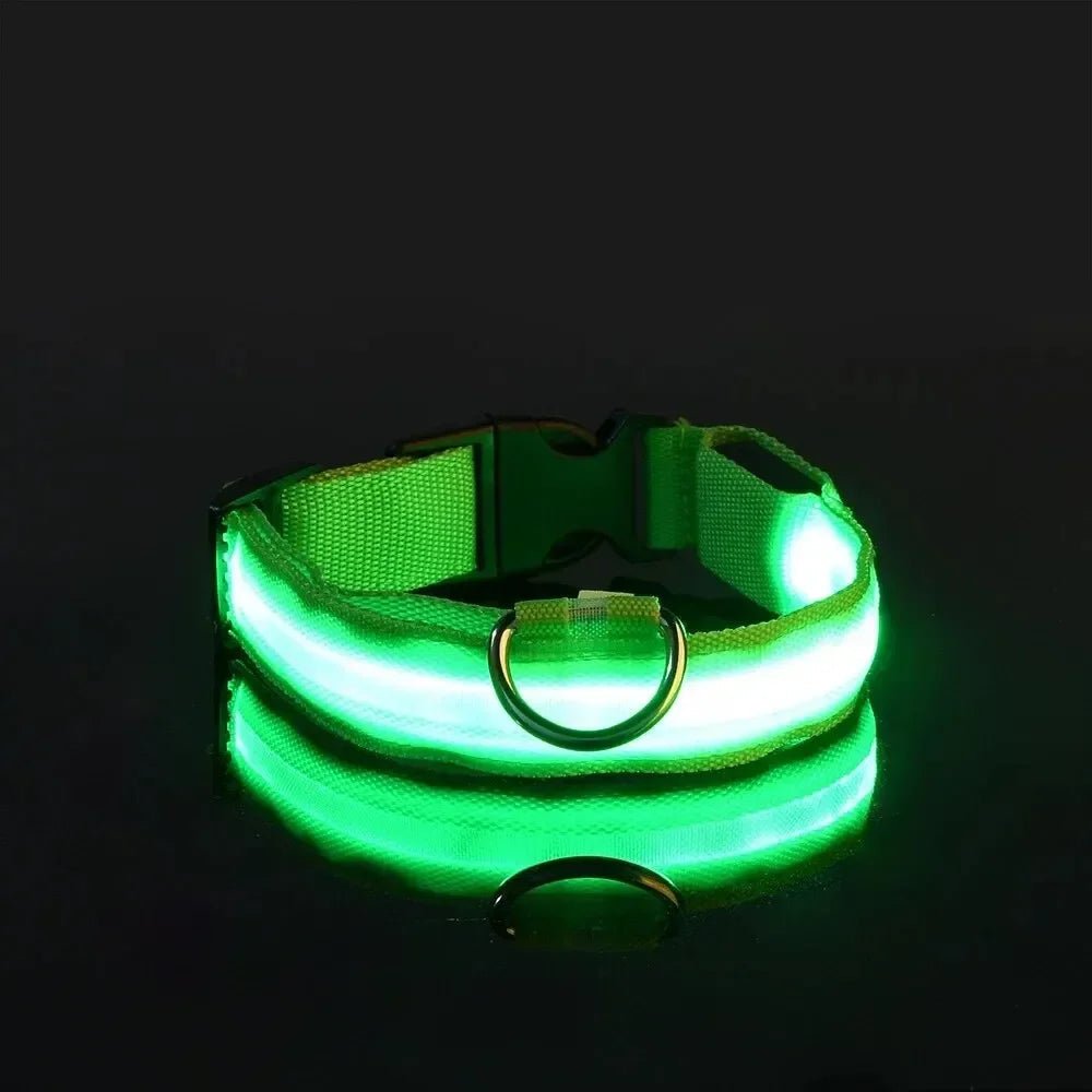 LumenPaws LED Safety Dog Collar With Adjustable Fit