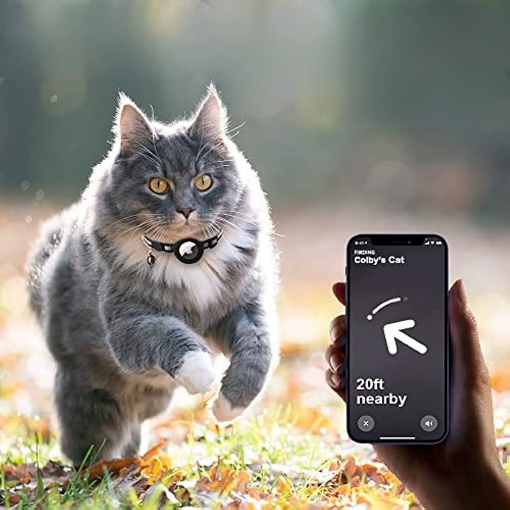WhiskGuard GPS Tracker Collar for Cat Safety and Visibility