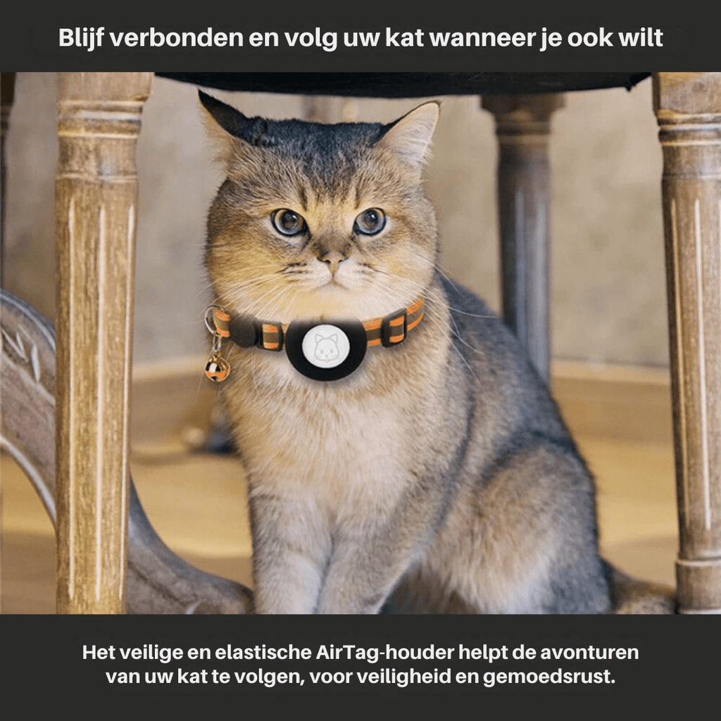 WhiskGuard GPS Tracker Collar for Cat Safety and Visibility