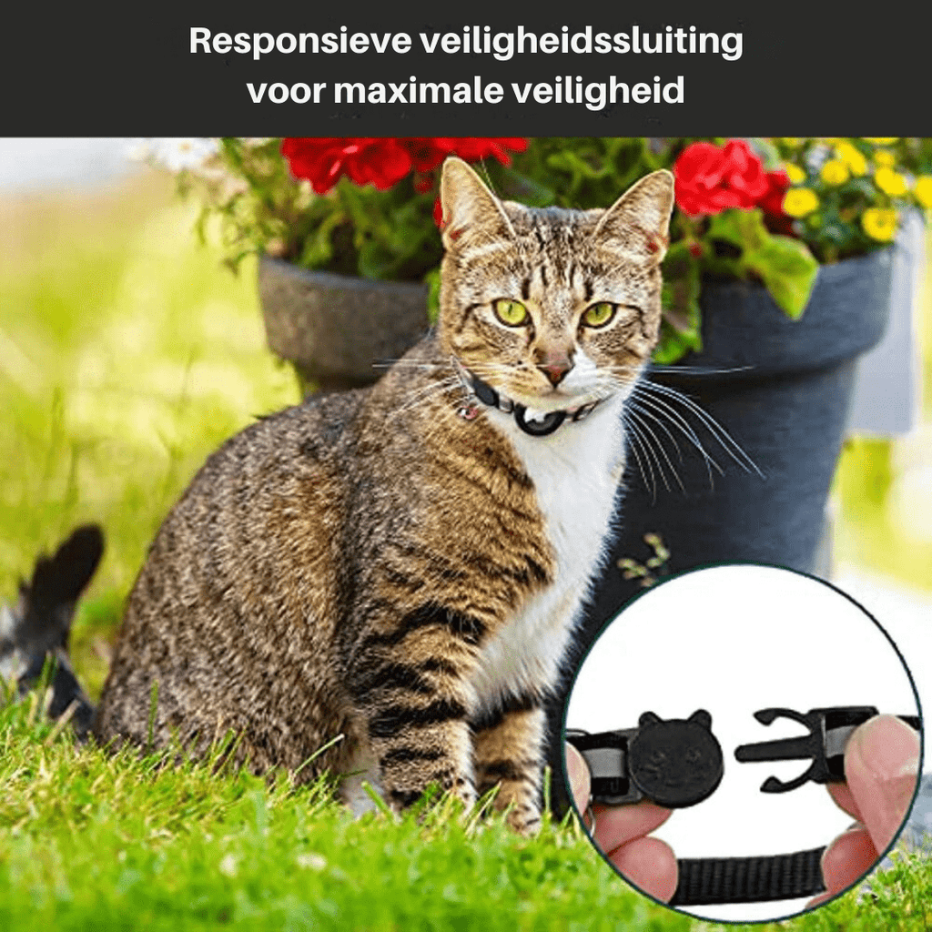 WhiskGuard GPS Tracker Collar for Cat Safety and Visibility