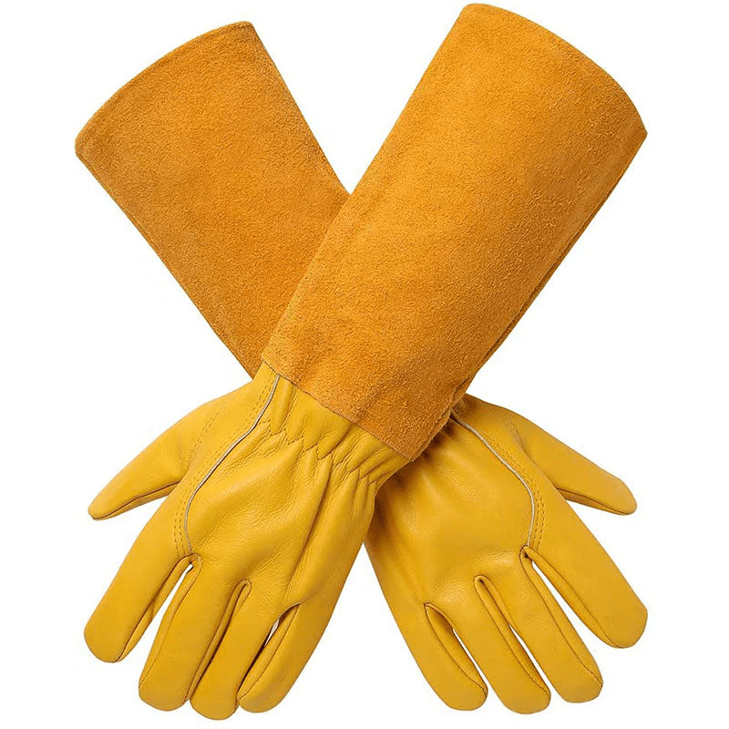 TerraGuard Rugged Garden Gloves With Elastic Wristband For Secure Grip