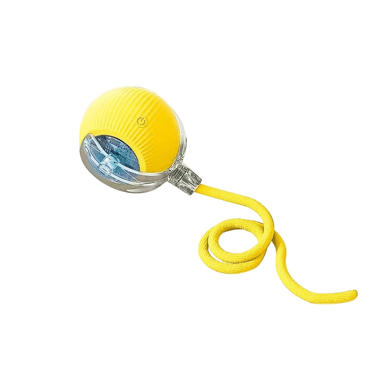 PawPulse Interactive Dog Ball - Rechargeable Bouncing Ball