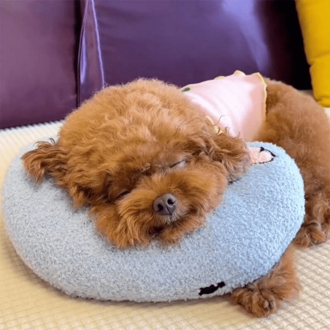Coussin orthopédique de luxe SerenePaw pour chien, contre stress et anxiété