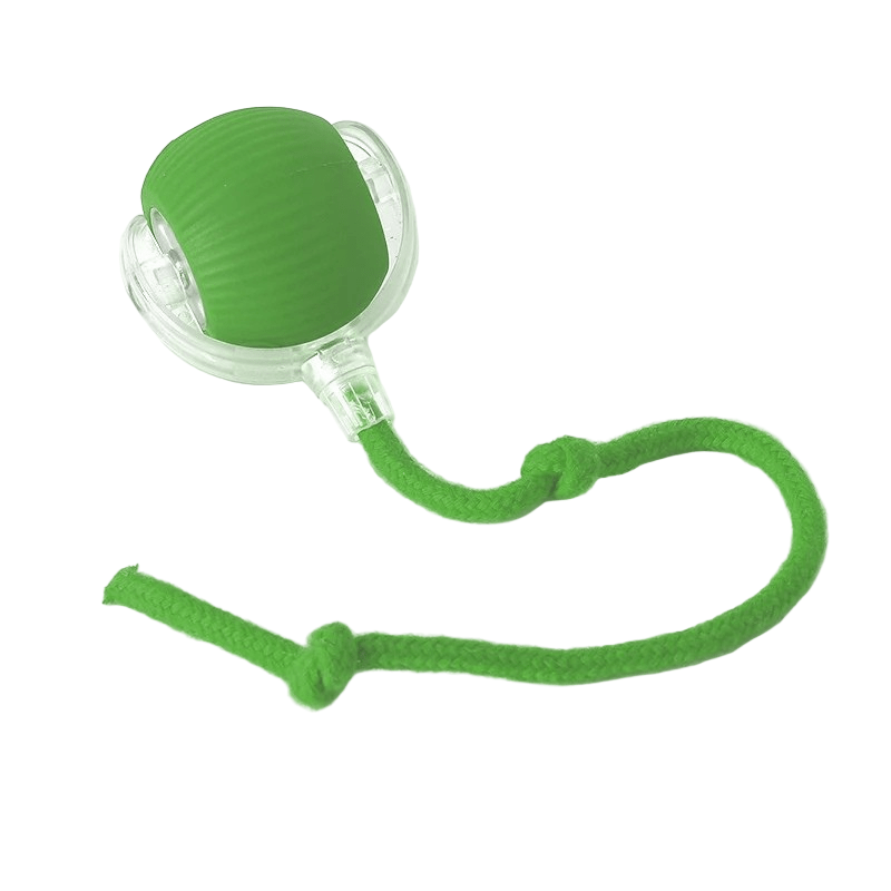 PawPulse Interactive Dog Ball - Rechargeable Bouncing Ball