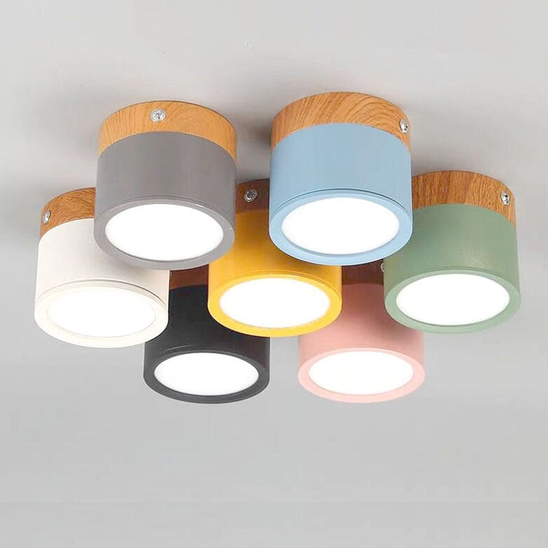 LumaNova LED Ceiling Light Downlight for Living Room Modern Minimalist Fixture