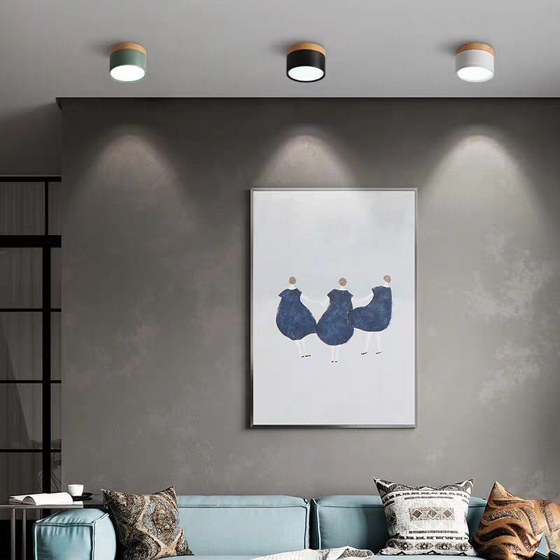 LumaNova LED Ceiling Light Downlight for Living Room Modern Minimalist Fixture