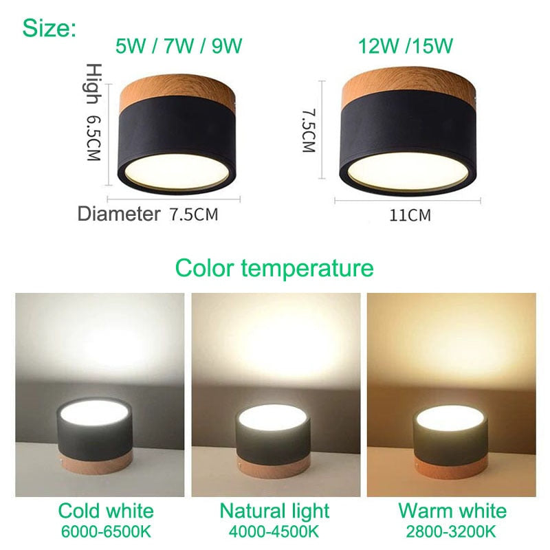 LumaNova LED Ceiling Light Downlight for Living Room Modern Minimalist Fixture