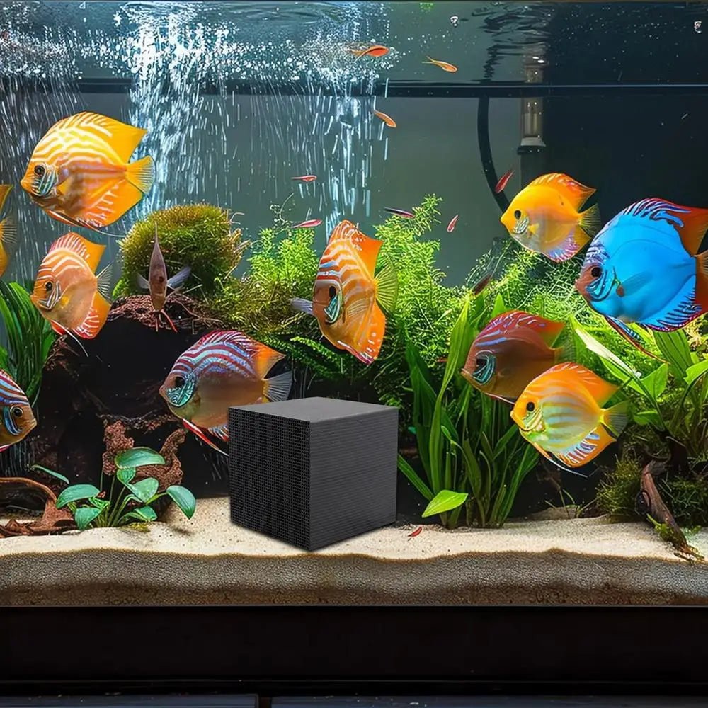 Nature Haven Natürlicher Bio-Filtrationswürfel für Teich- und Gartenteichsysteme