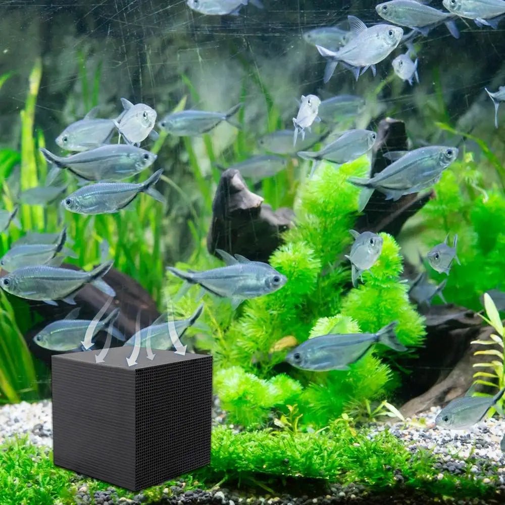 Nature Haven Natürlicher Bio-Filtrationswürfel für Teich- und Gartenteichsysteme