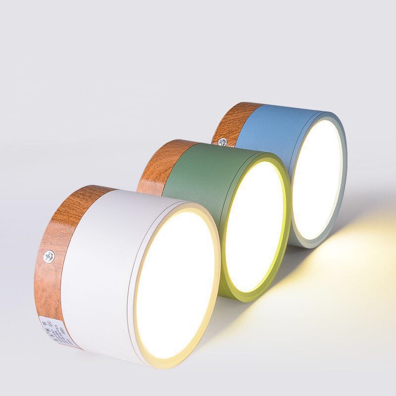 LumaNova LED Ceiling Light Downlight for Living Room Modern Minimalist Fixture