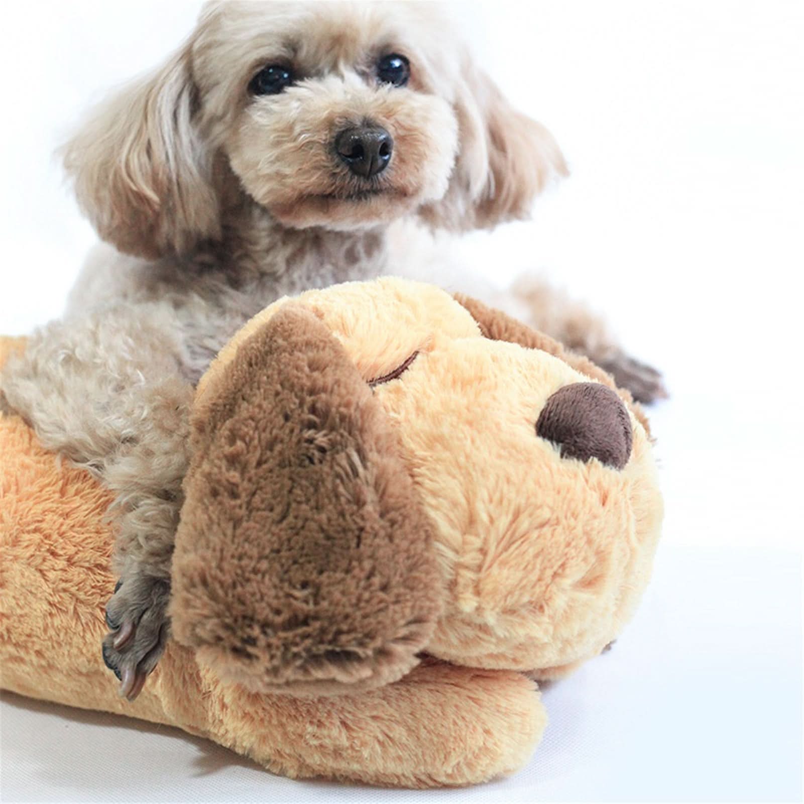 CozyPaws Peluche Coccoloso Battito Cardiaco per Calmare i Cuccioli