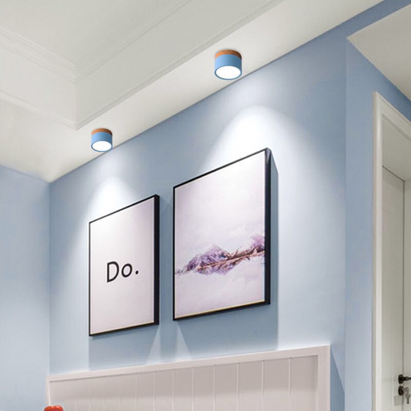 LumaNova LED Ceiling Light Downlight for Living Room Modern Minimalist Fixture