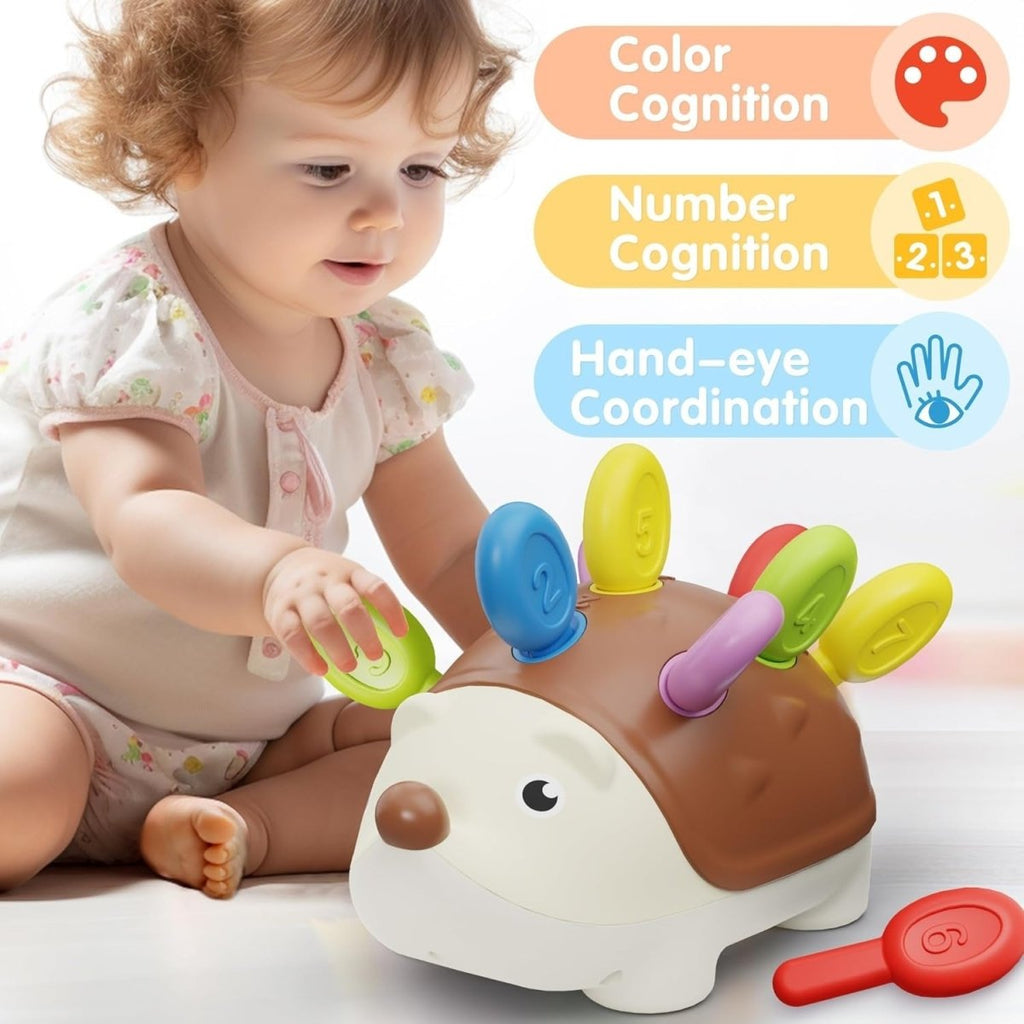 Montessori Hedgehog Color and Number Toy for Toddlers