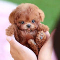 CuddlePulse Beweglicher Plüschhund für Kinder für spielerischen Kuschelspaß
