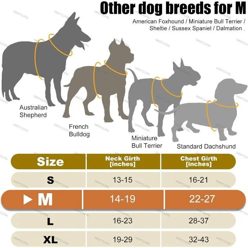 LumaPace Genopladeligt LED Hundesele til Natsikkerhed