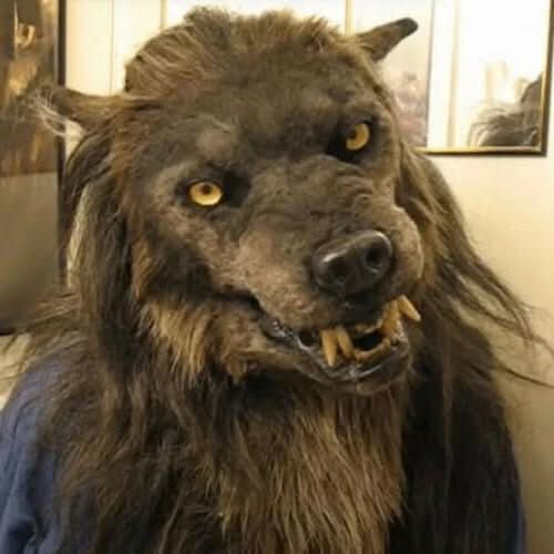 LunaHowl realistická vlkodlačí maska na Halloween a cosplay