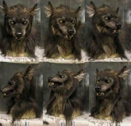 LunaHowl realistická vlkodlačí maska na Halloween a cosplay
